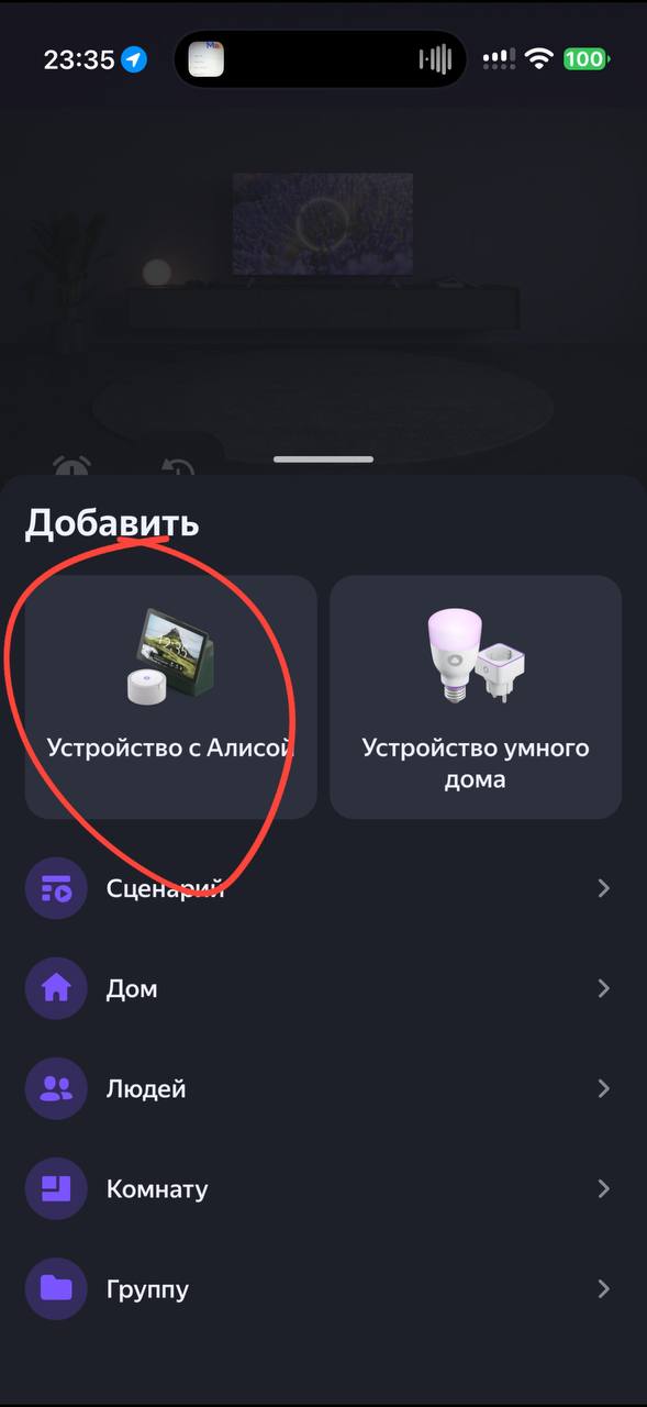 Добавить → Устройство с Алисой
